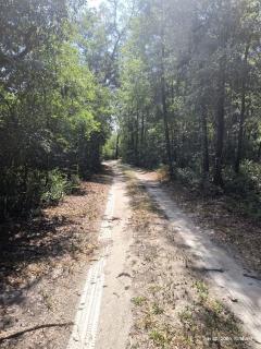 Off-Grid Cabin Retreat Near Satilla River, Georgia - 4