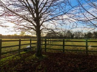 Appletree Cottage Fressingfield - 2