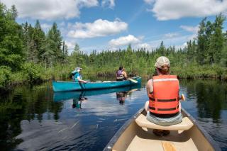 Cozy Tiny Cabin - Off-Grid Experience with Sled Dogs Year 'round in Minnesota - 6