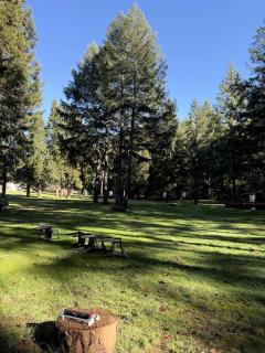 Luxury Glamping Tipi Retreat Near Rogue River, Oregon - 2