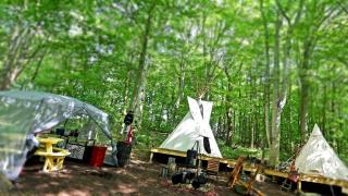 Stunning Authentic Tipi with Incredible Amenities for an Amazing Glamping Getaway near Fresno, Ohio - 2