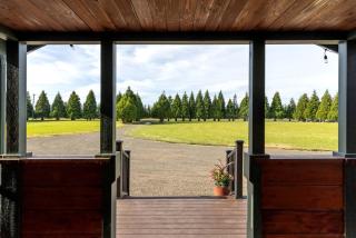 Modern Log Cabin with Cozy Fireplace Retreat & Views in Sequim, Washington - 1