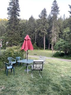 Charming Garden Cottage with 155-Acre Forest Retreat Near Wolf Creek, Oregon - 7