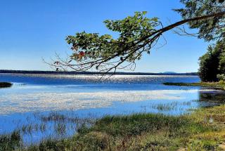 Beautiful Lakefront Safari Tent with Ensuite Bathroom, King Bed, and a Fabulous View, near Acadia National Park in Maine - 7