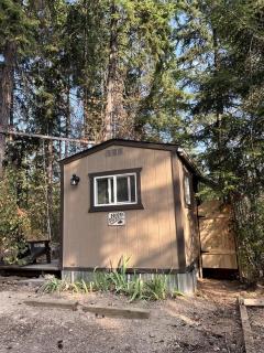 Cute Tiny House in the Woods for a Peaceful Getaway in Nature near Clark Fork, Idaho - 9