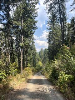 Cute Tiny House in the Woods for a Peaceful Getaway in Nature near Clark Fork, Idaho - 4