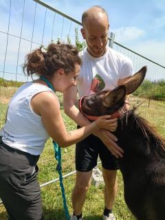 B&B Naturin - Vegan Eco Farm - 8
