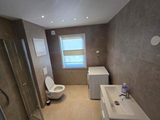 Freshly Renovated Flat just 10 min to Oslo and the Airport - 3