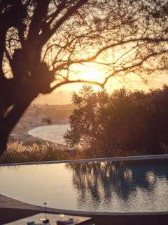 Prosilio olive tree houses - 9