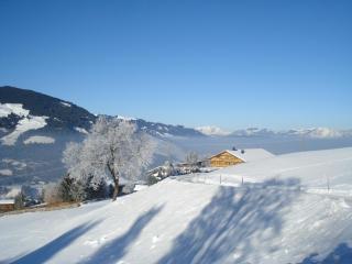 Scherntreinerhof - Westendorf - 4