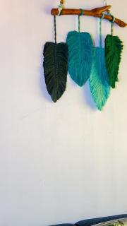 Sansevieria Homestay - 3