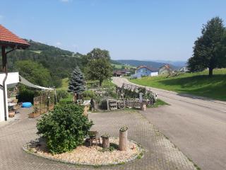 Gasthof Adler - 7