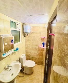 Cozy 1 BHK Flat with a city view - 2