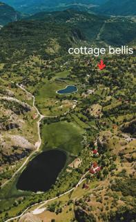 Cottage Bellis - 8
