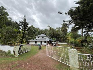 Ancestra - 3