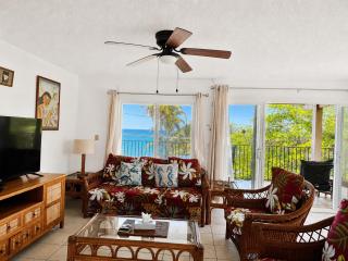 Tropical Paradise, Ocean Views, Birds, Sunsets, AC, 2 Mins from Beach - KP - 4