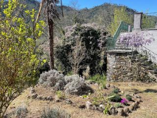 Historical Villa close to Cinque Terre - 3
