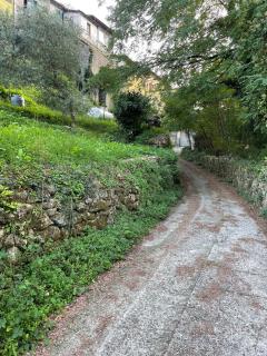 Historical Villa close to Cinque Terre - 2