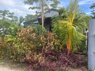 Taumeasina Island Beach Pod - 0