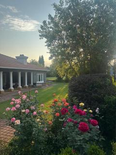 SuzenEt Manor - 9