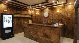 Hotel Jaipur Central, Jaipur - 4