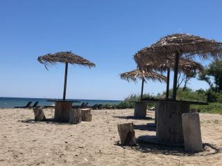 Studio cosy en bord de mer - 0