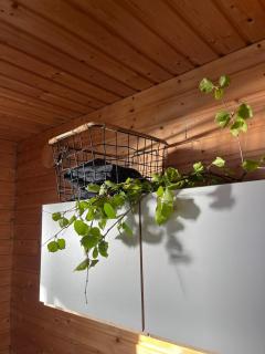 Private Riverside Cabin, Utajärvi - 1
