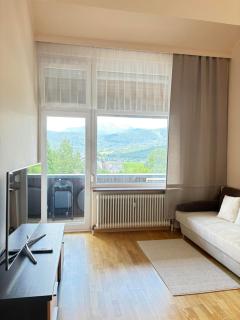Haus Auerhahn - Bad Mitterndorf - 3