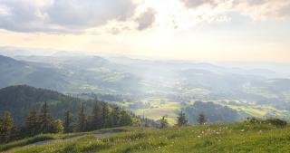 Stilvolle 2-3 Zimmer Apartments im Gertrud Schlössli - zentral ruhig - 5