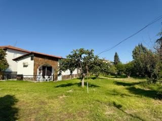 Nikiti Cottage House - 7