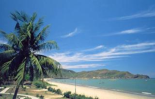 Modern 2BR with Stunning Ocean View and 300m to Beach - 9