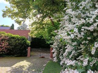 Bed & Breakfast Grünes Gold am Leisberg - 8