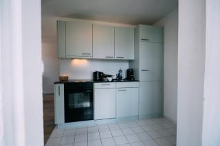 Helvetia Swiss Charm Apartment - 8