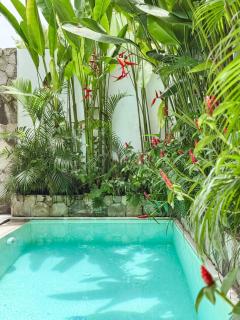 Casa Petak 2 - Serene Architectural Villa in Tropical Paradise Pererenan - 2