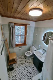 Holiday Home Chalet Baslerdybli by Interhome - 1