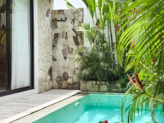 Casa Petak 2 - Serene Architectural Villa in Tropical Paradise Pererenan - 4