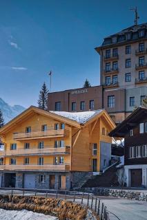 Apartment Chalet Raufthubel by Interhome - 9