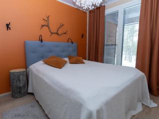 Holiday Home Lomapesä by Interhome - 1