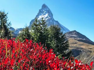 Apartment Matterhorn by Interhome - 5