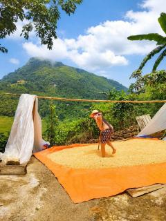 Susan homestay - 2