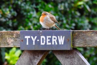 Ty Derw B & B - 5