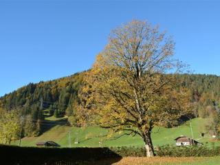 Apartment Oberland Nr- 7 Appartement-Fewo- Dusche oder Bad- WC 8-Bettwohnung by Interhome - 5