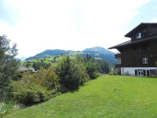 Apartment Diamant Appartement-Fewo- Dusche oder Bad- WC- 1 Schlafraum 2-Bettwohnung by Interhome - 4