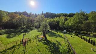 Vila SVITAC Banja Vrujci - 8