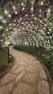 Da'Orchid Ecotel - 6