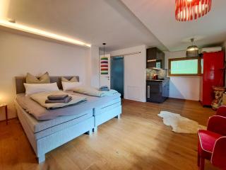 Apartment Panorama-1 by Interhome - 7