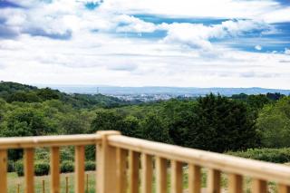 Oak Tree Farm Glamping Exeter - 9
