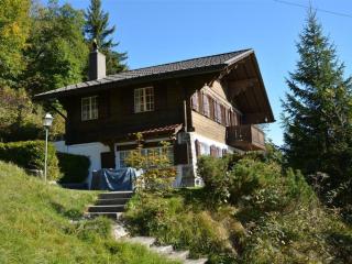 Apartment La Ruche- Chalet Appartement-Fewo- Dusche oder Bad- WC 9-Bettwohnung by Interhome - 9