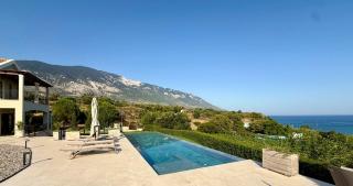 Filon Ktima Beachfront Upscale Villa - Karavadhos - 7