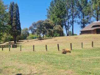 The View on Vaal Resort - 2